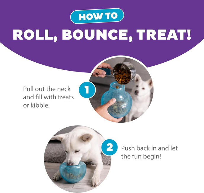Outward Hound Treat‑Dispenser Puzzle Ball