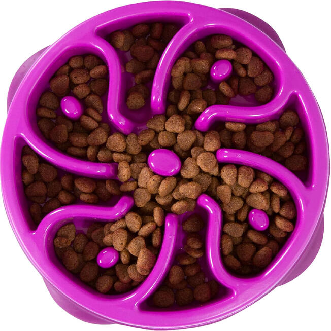 Outward Hound Fun Feeder Slo Bowl – Medium, 2 Cups
