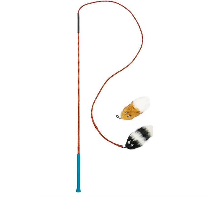 Outward Hound Teaser Wand