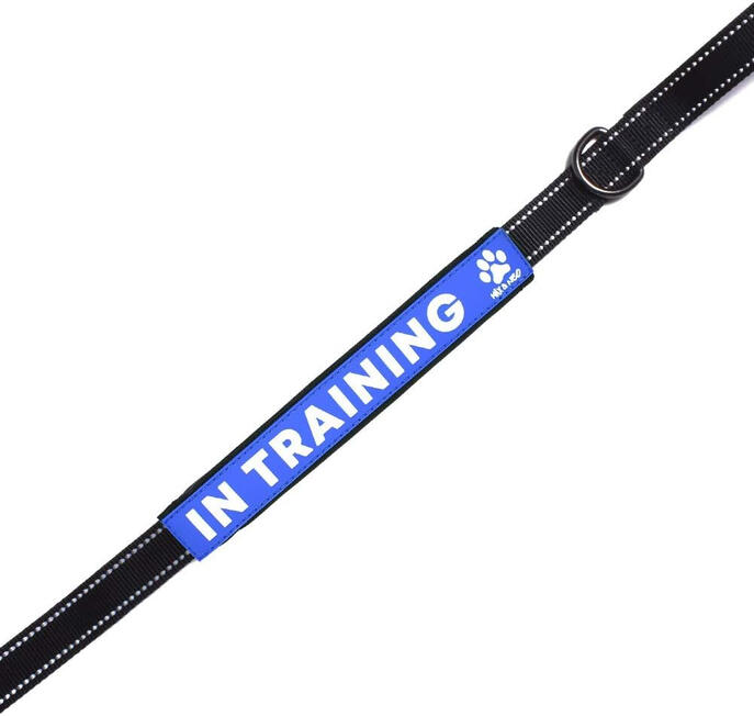 Max and Neo "In Training" Leash Sleeve
