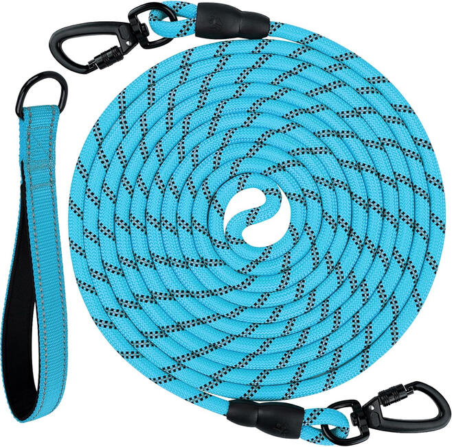 Joytale 65ft Long Leash