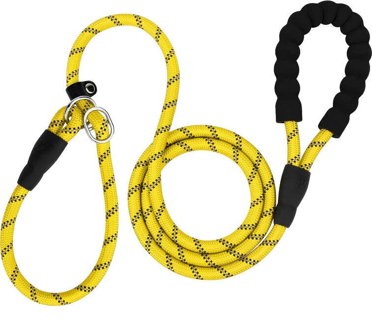 TagME 6ft Slip Dog Lead