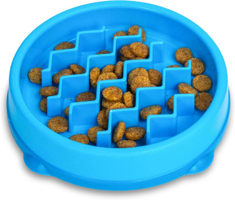 Catstages Kitty Slow Feeder Bowl