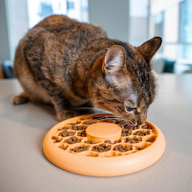 Catstages Cat Slow Feeder Bowl